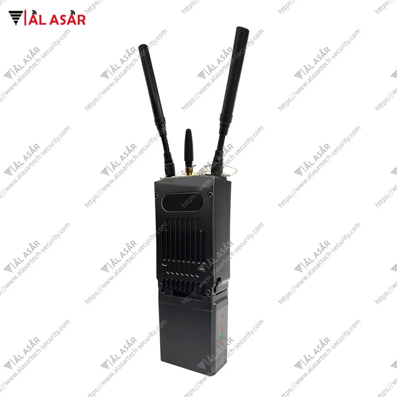 Portable Mesh Network